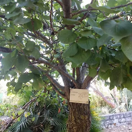 Casa La Pennica Сasa de vacaciones *